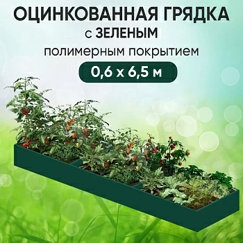 Грядка зеленая (0,6 х 6,5)